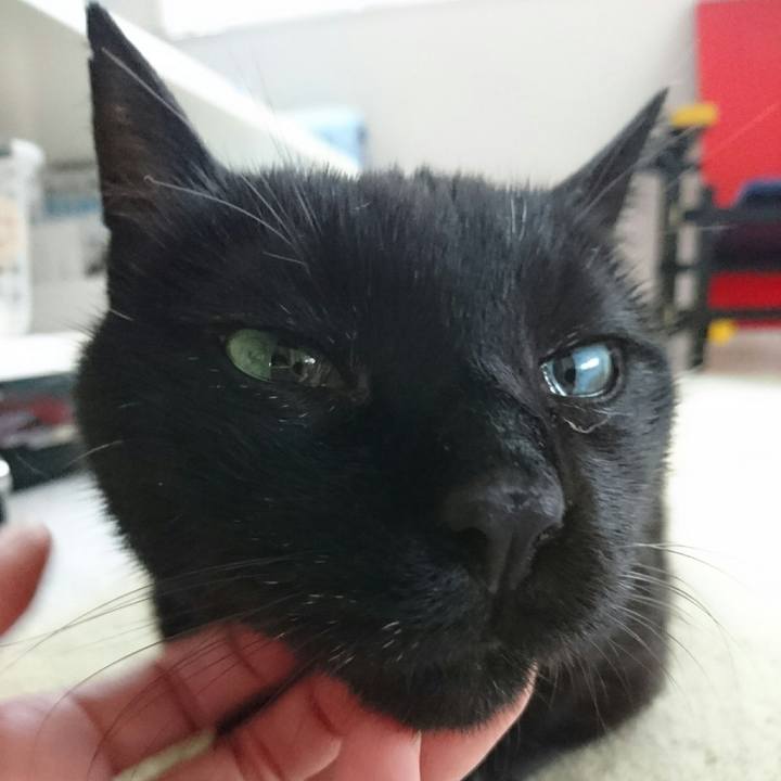 02485527 b93d 4fc3 a68b 7f3adce44bb9