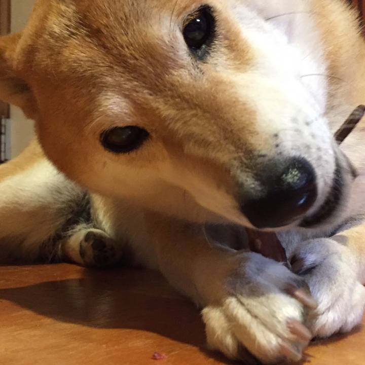 0248d764 8f48 4a67 9043 e48850279bca