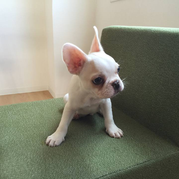 0248daf0 ed5a 408d aa83 0edc06719d5e