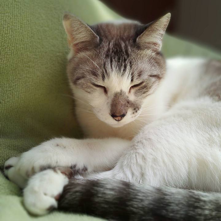 0249009d f95e 43bb b354 9c5c7abbd9b1