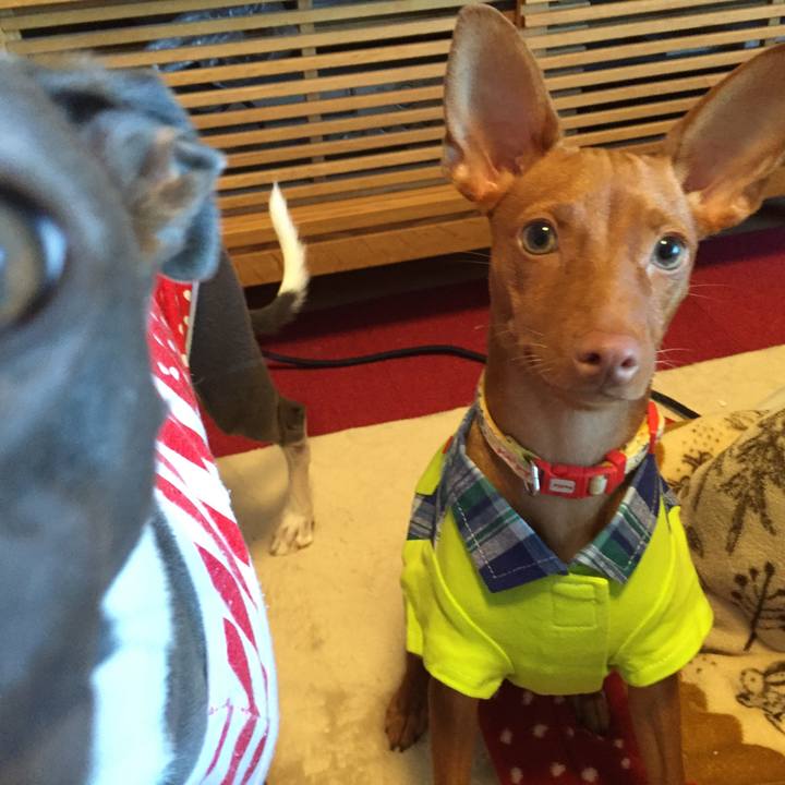 02490412 4d67 44e5 8cca a1aef29327d0