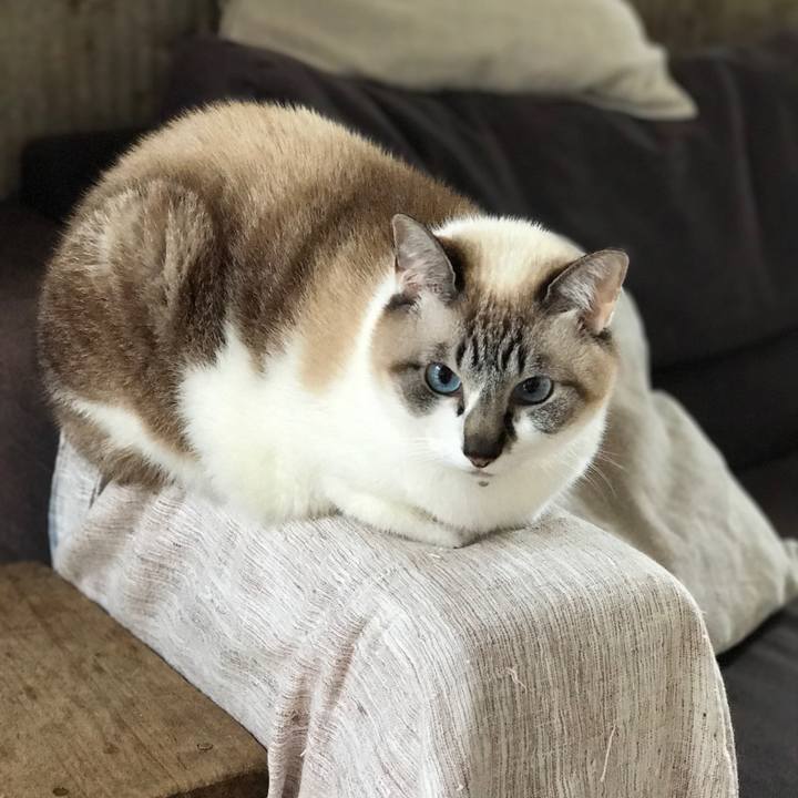 02492b0d e97d 4db5 994f ecb51d84df1f