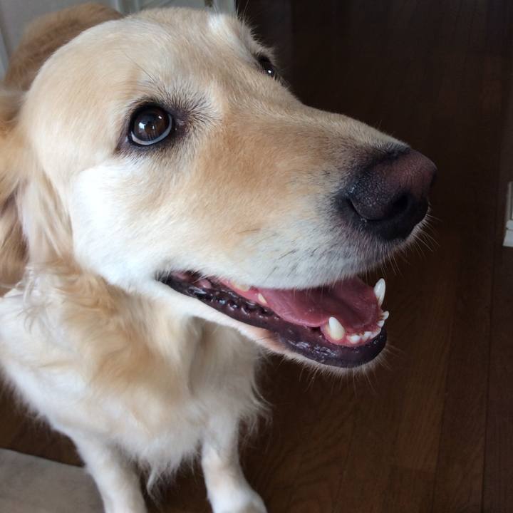 0249360a 6cfd 42b4 9765 7e89ab49d2ce