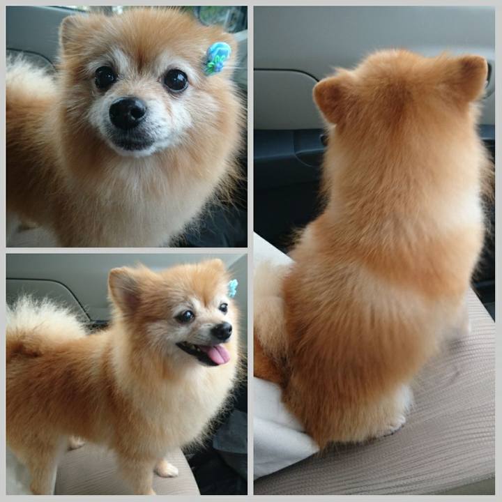 02495d1f d442 44c8 83f5 c5a98bcb0490