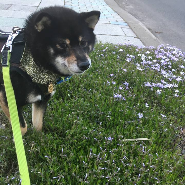 02498d44 cf0b 4571 acd7 173279596aa6