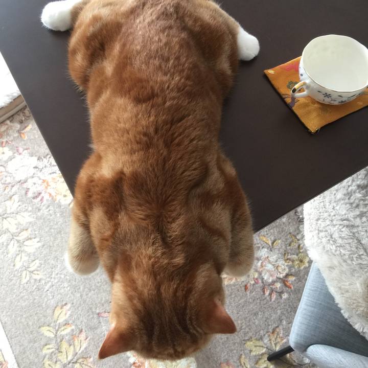 024a3d3b 18cd 4869 8150 73c56cdac790