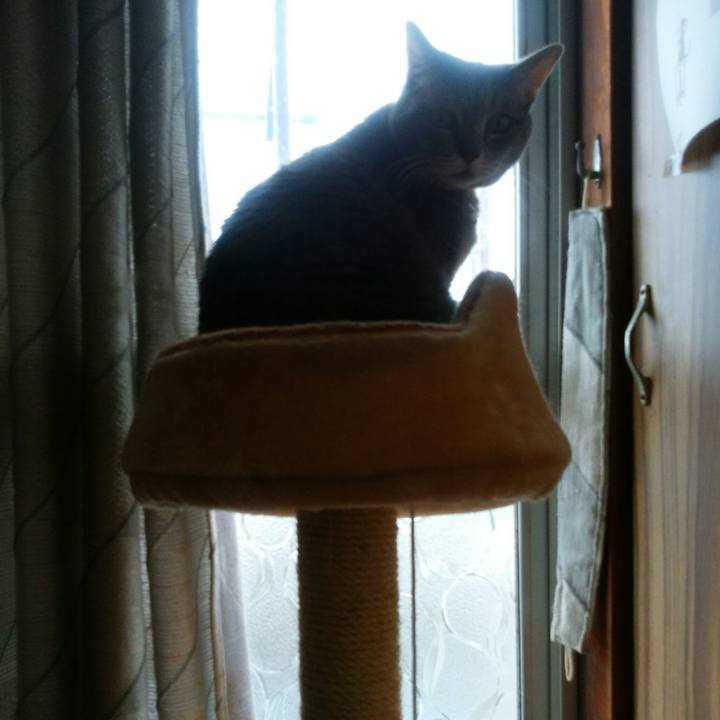 024a599e b2b6 42a4 a378 72b67f3d3098