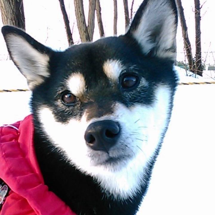 024a6622 d5c2 4777 a878 83df99a67015