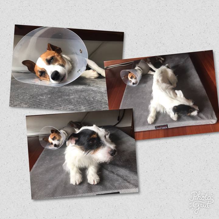 024a7425 6159 4484 8d2f bd5586005726