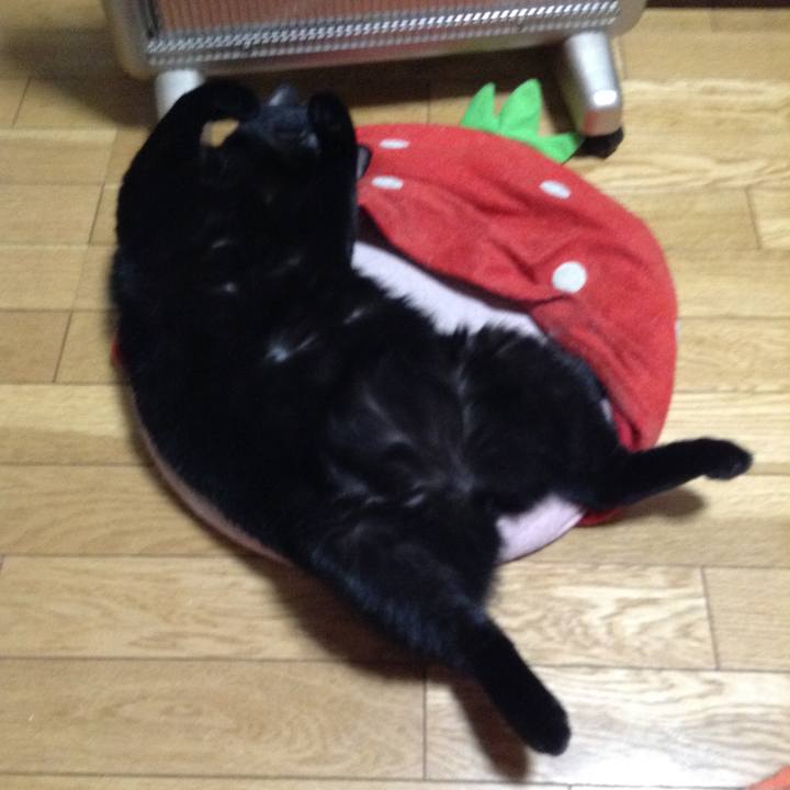 024a91e5 00e2 45ff b4d8 afa48713d8b0