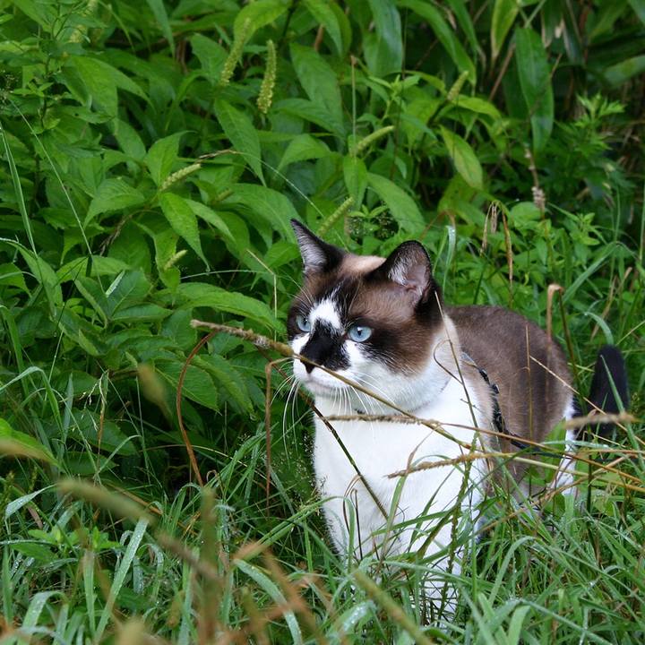 024b0551 32b9 4bbc 8fb2 7d5a3a8d6f14