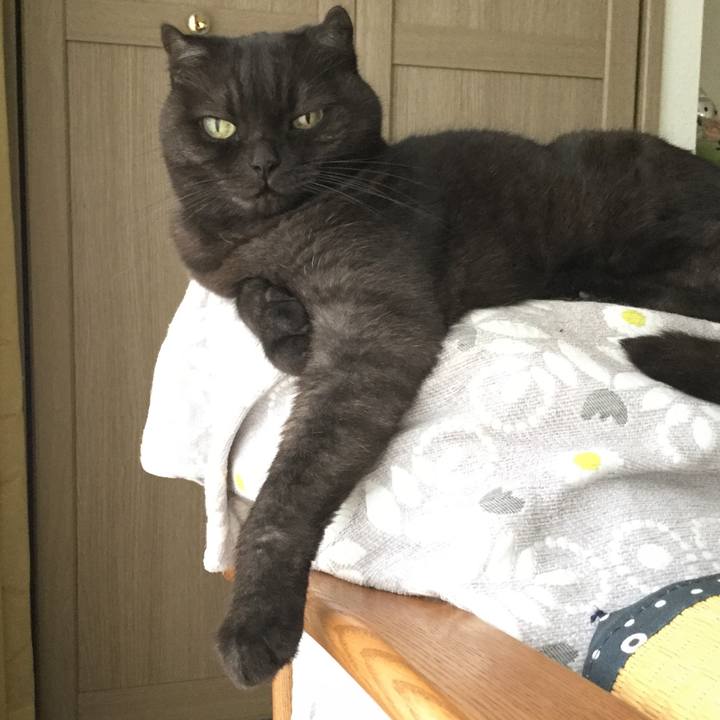 024b4421 2b47 42dc 82da 09f3e5a67f84