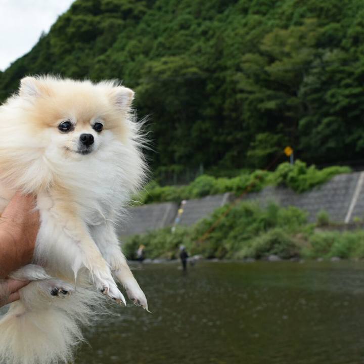 024b87b7 113a 4a3a 8414 965e55d37ec2