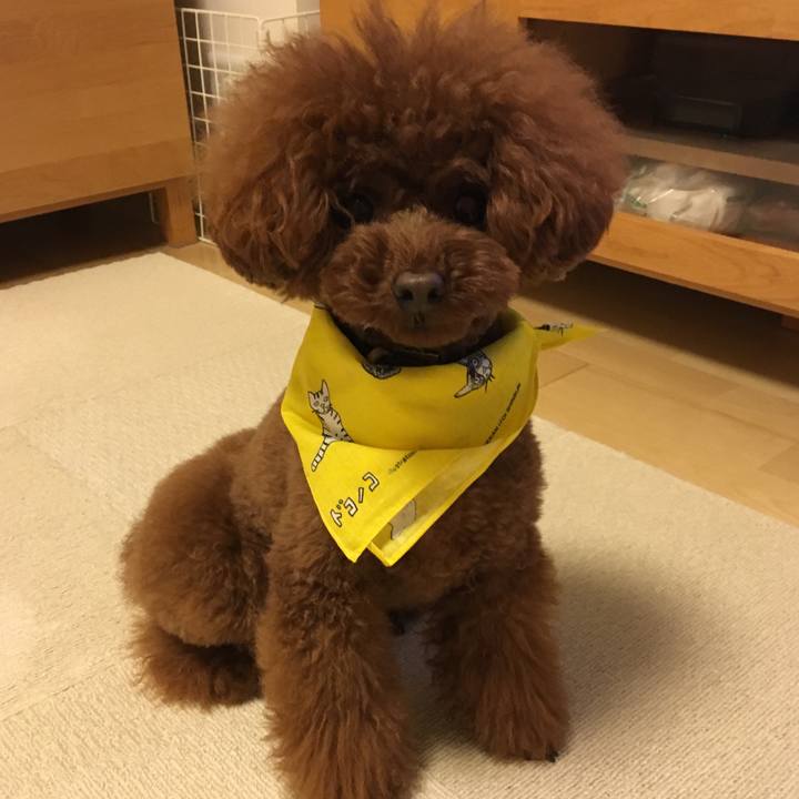 024c2a4c a478 4ec4 b1c6 1f80aed549cc