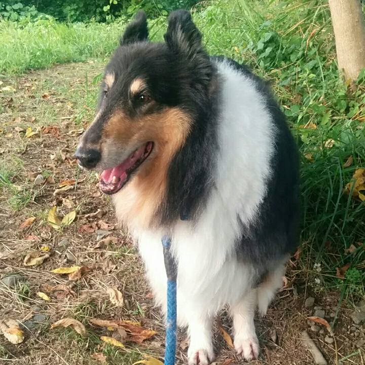 024c40bb 5678 4c93 a836 84f12f079701