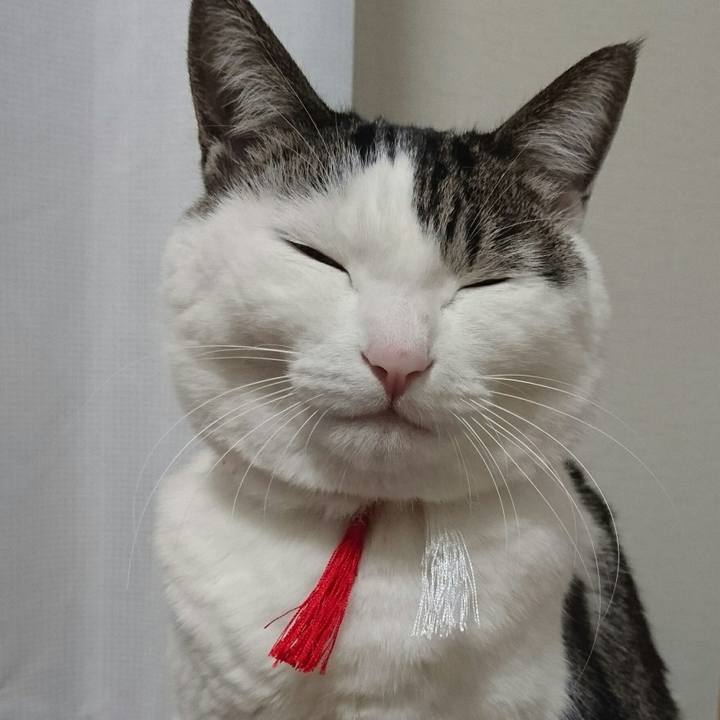 024d0e54 51aa 4b93 8f0f b367ff9b8905