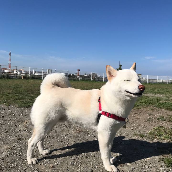 024d30c7 cf11 4838 be94 cbc0af2415b0