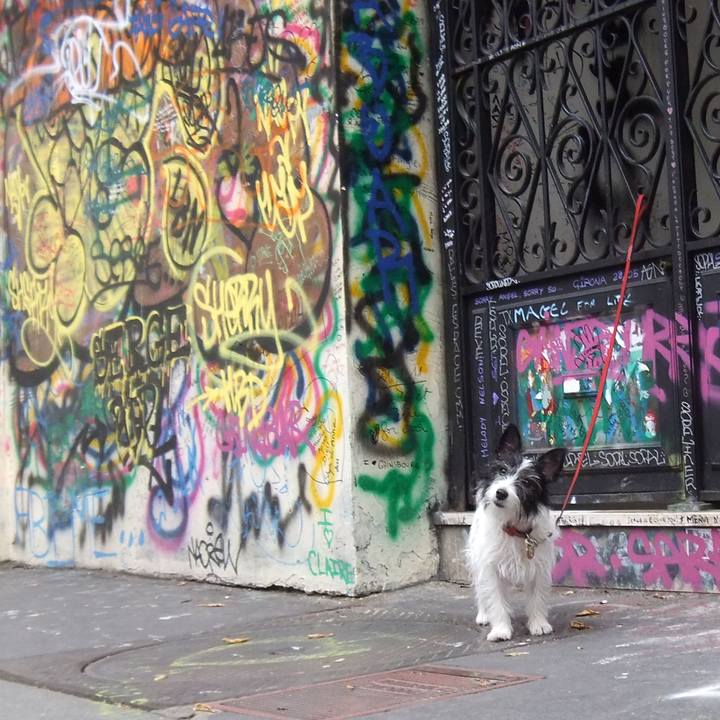 024d6139 03ab 4e9c a995 7dad8f1e2b8e