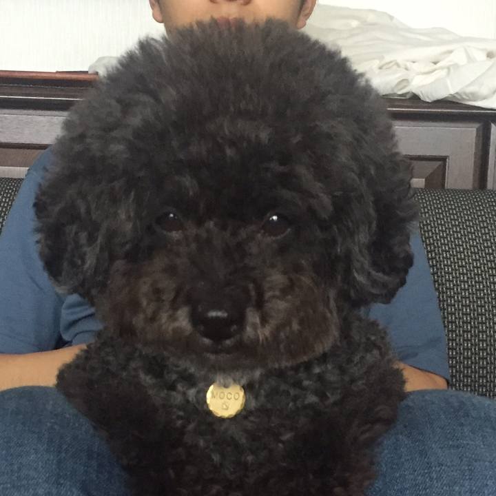 024d7af6 674a 4cbd bbcb f618e47b1062