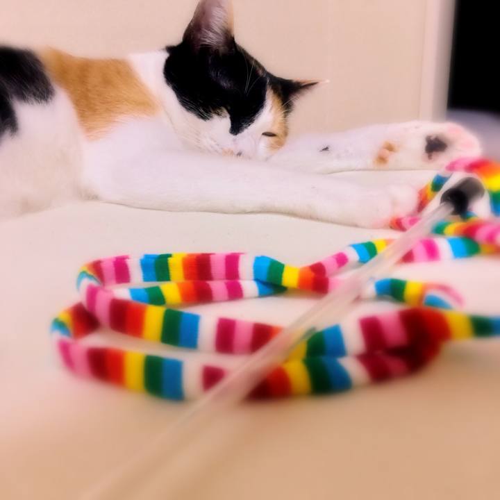 024da380 9e4f 43bc 8a47 1850db48685b