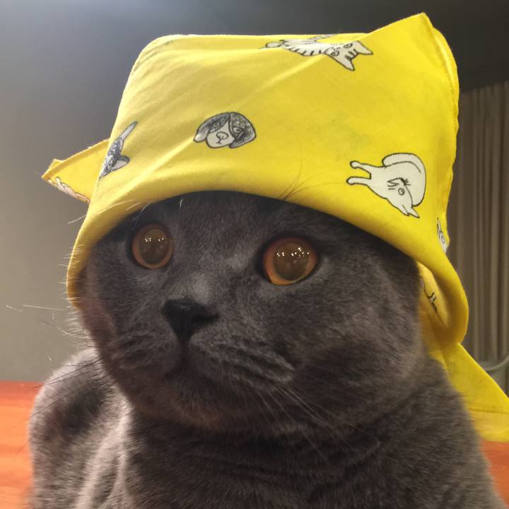 024df429 517f 4fb9 8559 142d74665cdb