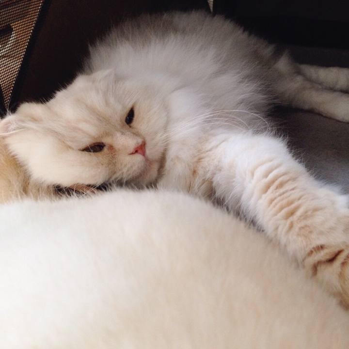 024ea24f e93c 4e2d b722 bdc42daf983c