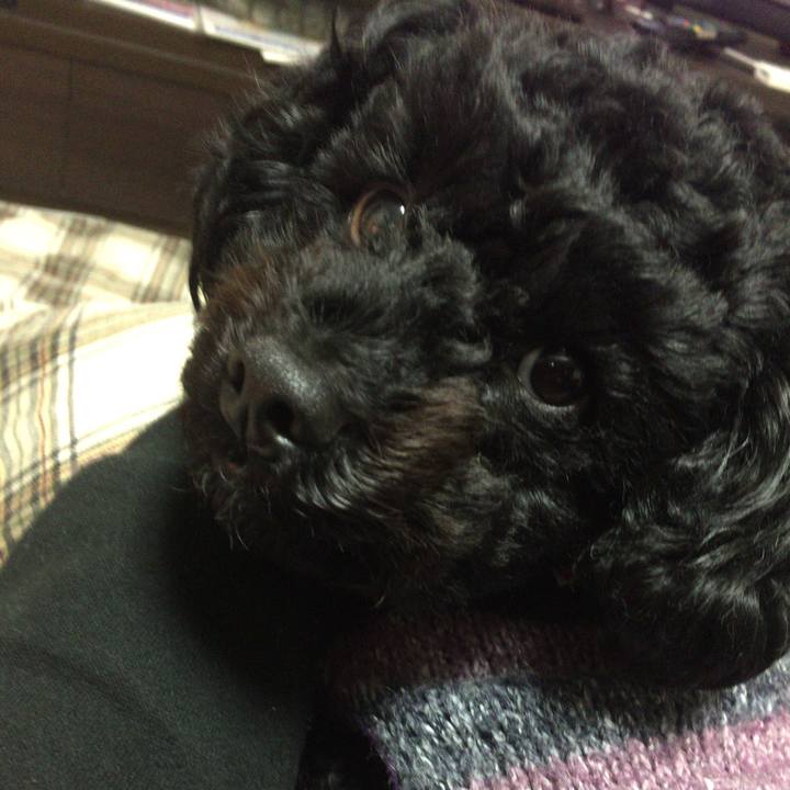 024f3cf6 a3dc 4c2c ae17 614543d63565