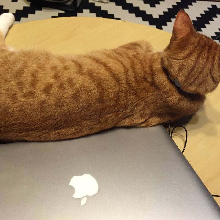 02508345 e575 421a 8885 640a7cf5d0ec