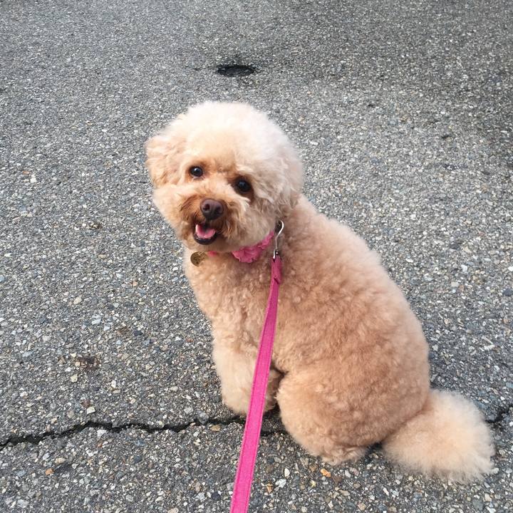 0250c7d5 addb 4191 a64b eaa5d88b5ca4