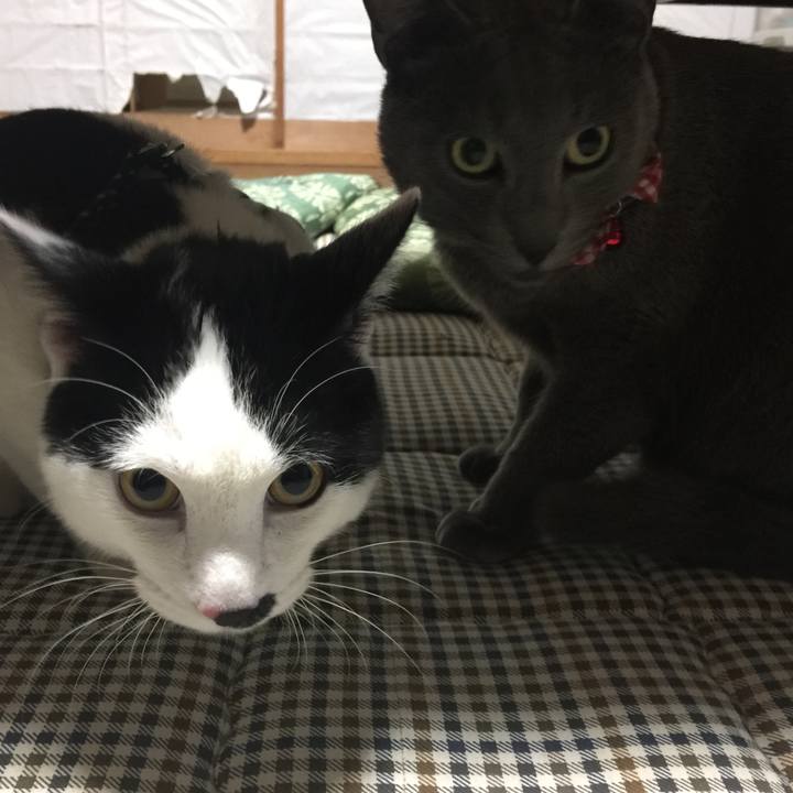 02510917 7099 4e34 9259 e5c0971f2715