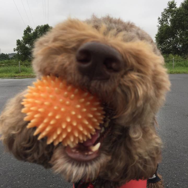 02515053 3d05 4327 b783 d2dfcffc09e0