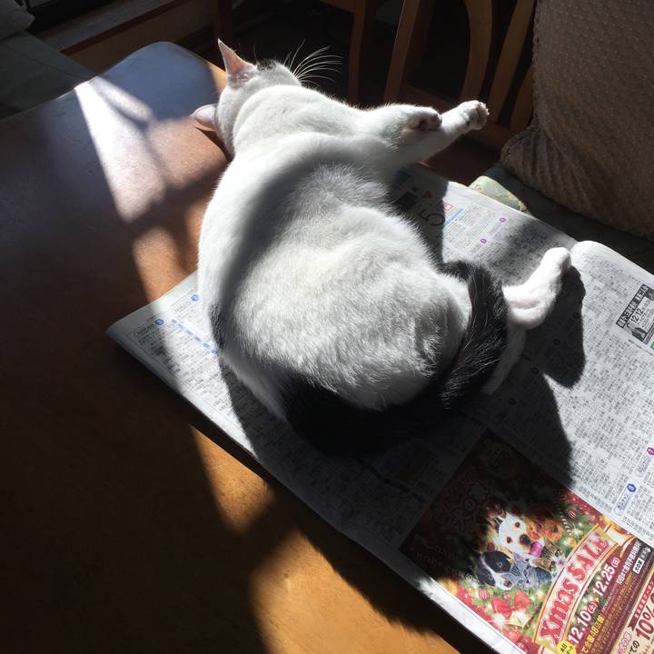 02517964 9202 496b 8428 5a0c341b82aa