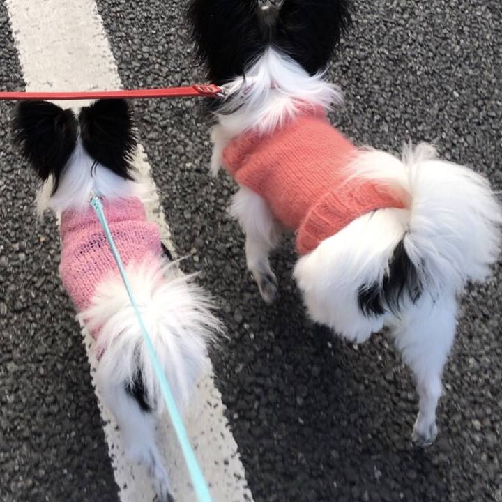 02524c93 2e40 4f1d 99da 588c3f12c90f