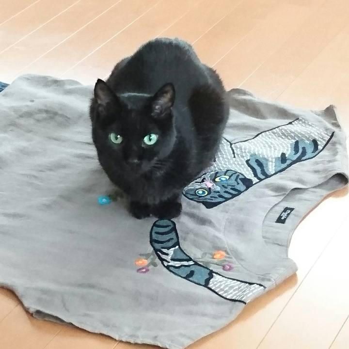 02526f2a b070 4d3e a544 7313e1d2a484