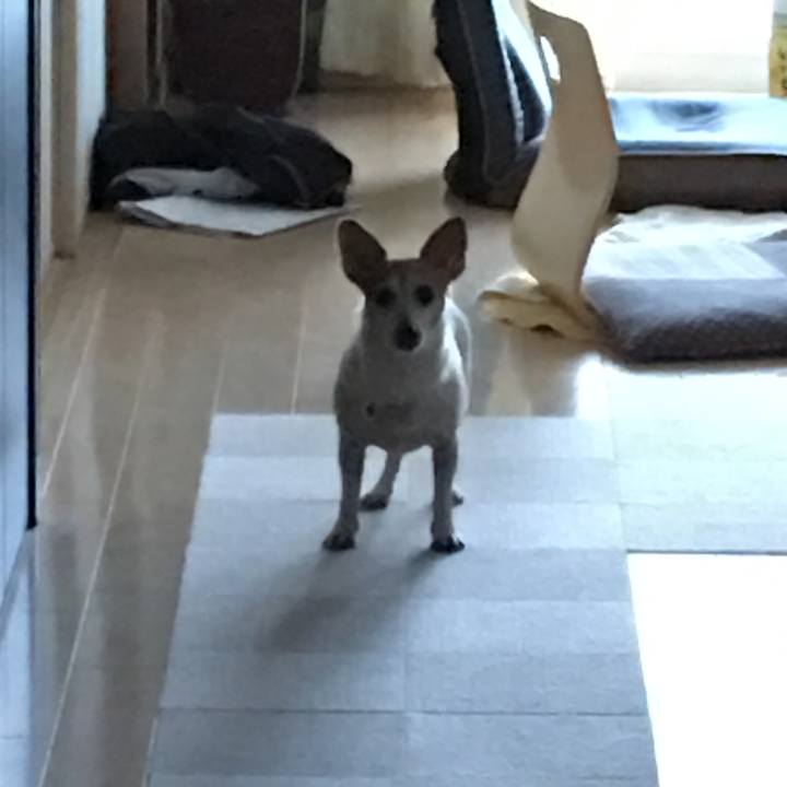 0252c01d 666c 4a6f a79a c380aeb3ad83