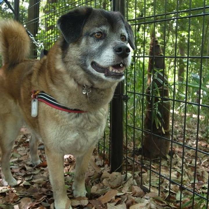 0252cbee 4b7c 4987 a8e1 9858ac80136a