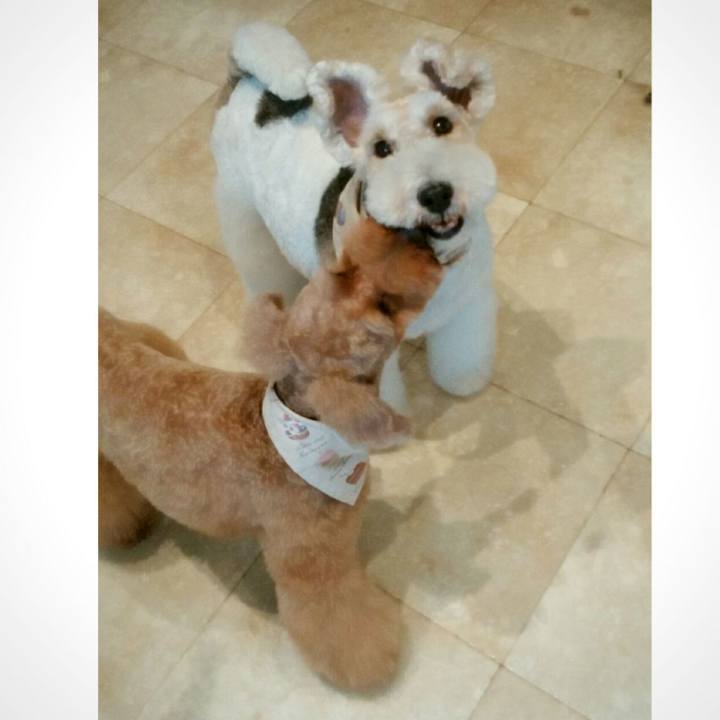 0252cfc4 60d4 4ea6 b9f4 3a86bb513376