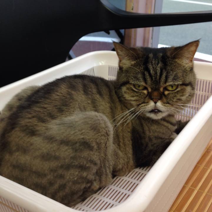 02532ebc a5e2 46c9 85e3 820d4c76a229