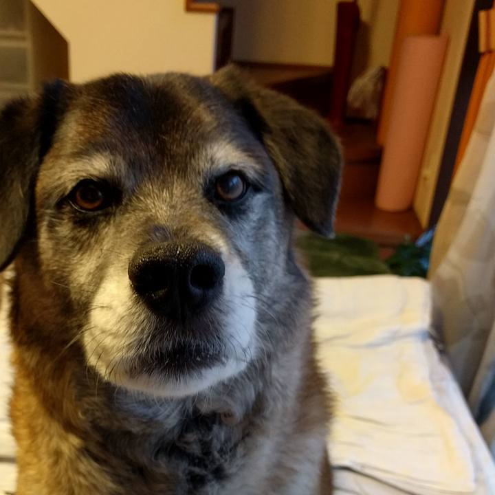 025337fd 3f04 4691 b2b7 8d55ccbc30a4