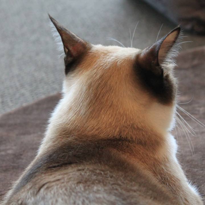 0253fa26 aacc 4875 b286 8ea29b4a5f53