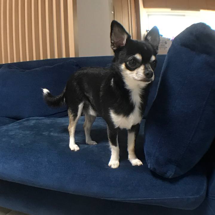 0253fb6b 09c5 436a 80a3 599793f7c96e