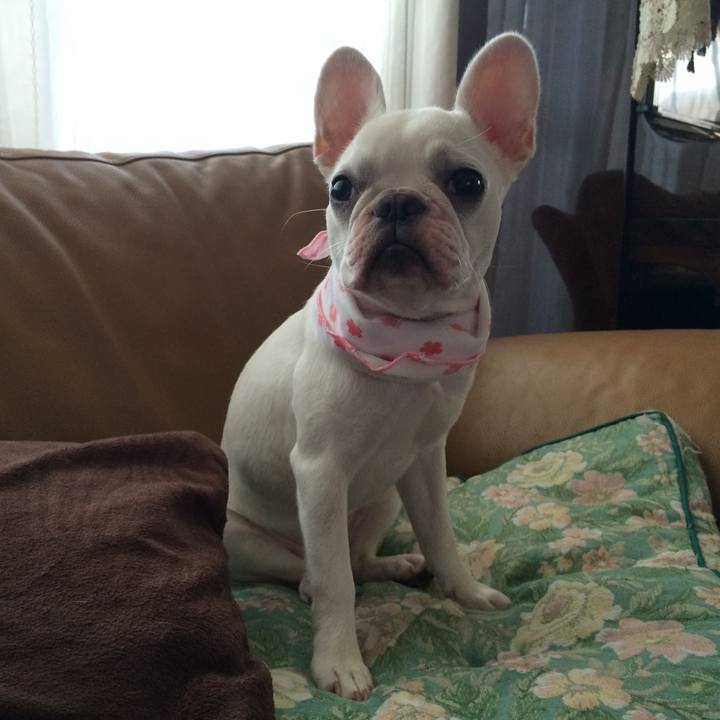 025406af e832 4022 b5cd d29833eb068d