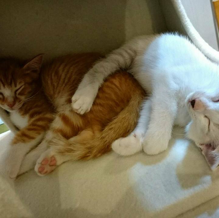 025428ce 0692 4850 8fc7 4c56acabf8e0