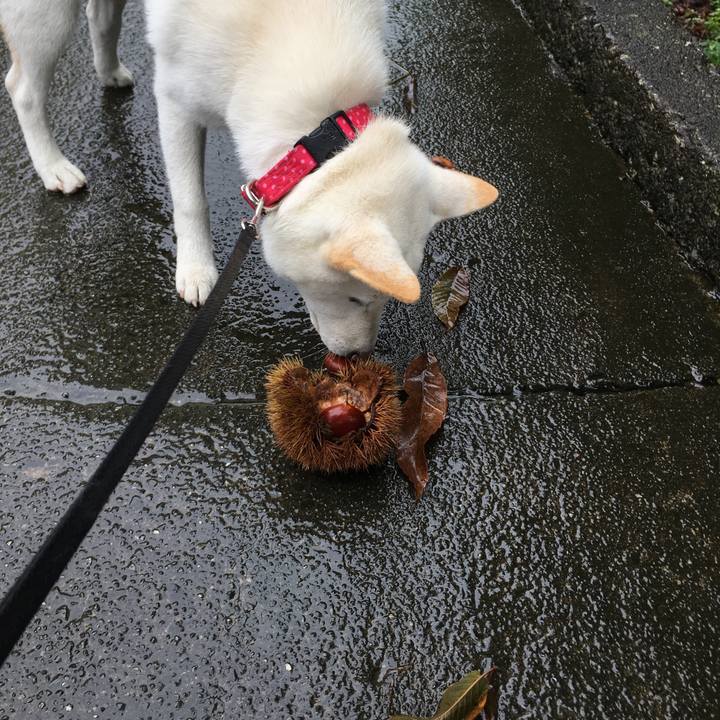 0254b527 8b6c 4d91 b260 c7b3946b762f