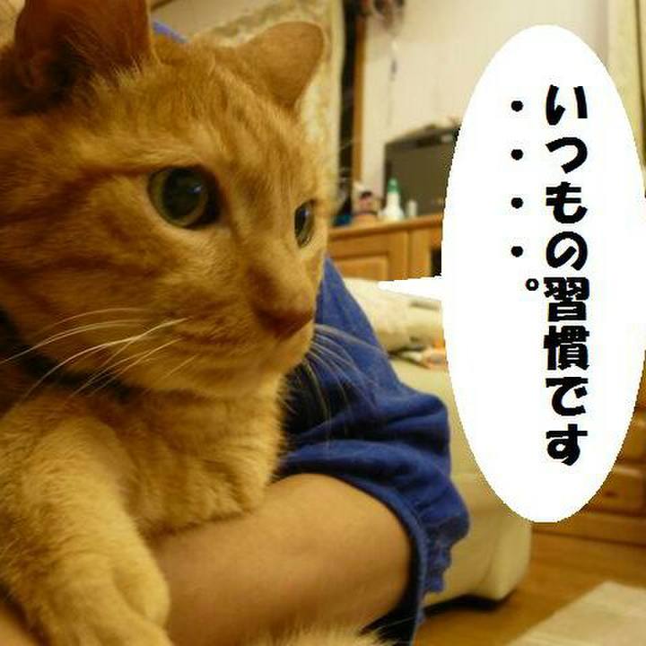 0254c40b a05a 4e54 869b 5363e9b1a916