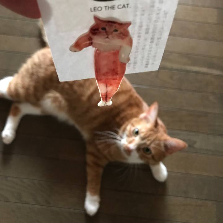 0254ccf3 86bd 423a 8617 9030a2665e3b