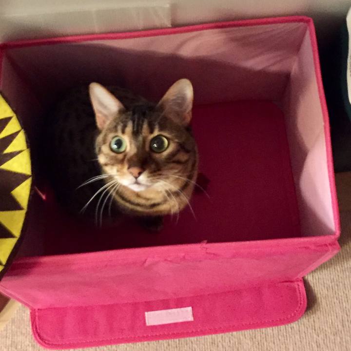 0255a80e 5e4c 4597 86c5 6d92f8732d49