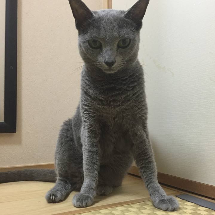 02560793 c068 4ff2 9b5e a0cd2bb02783