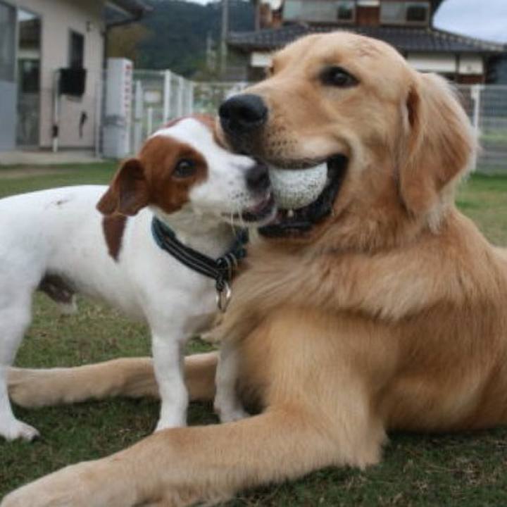 02565f12 2734 4d83 99e1 7e9f447b7738