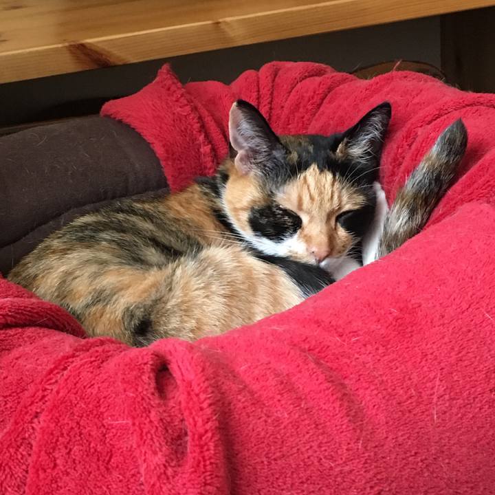 0256995f f721 4f90 98c1 f34ed20a52e9